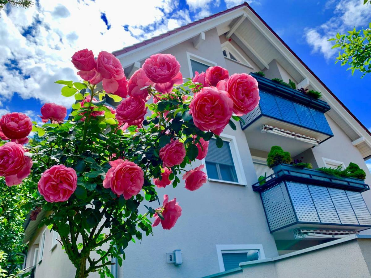 Apartment Staffelstein *
